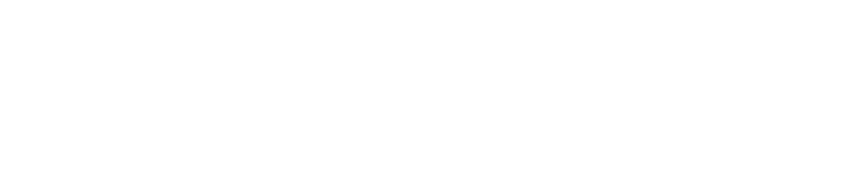 PLANEX